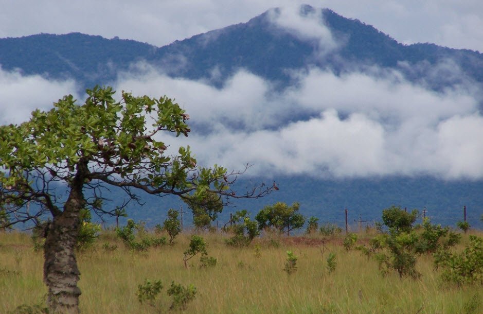 Kanuku Mountains, Guyana